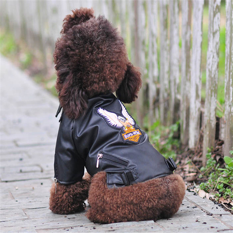 Embroidered Dog Jacket in Eagle PU Leather