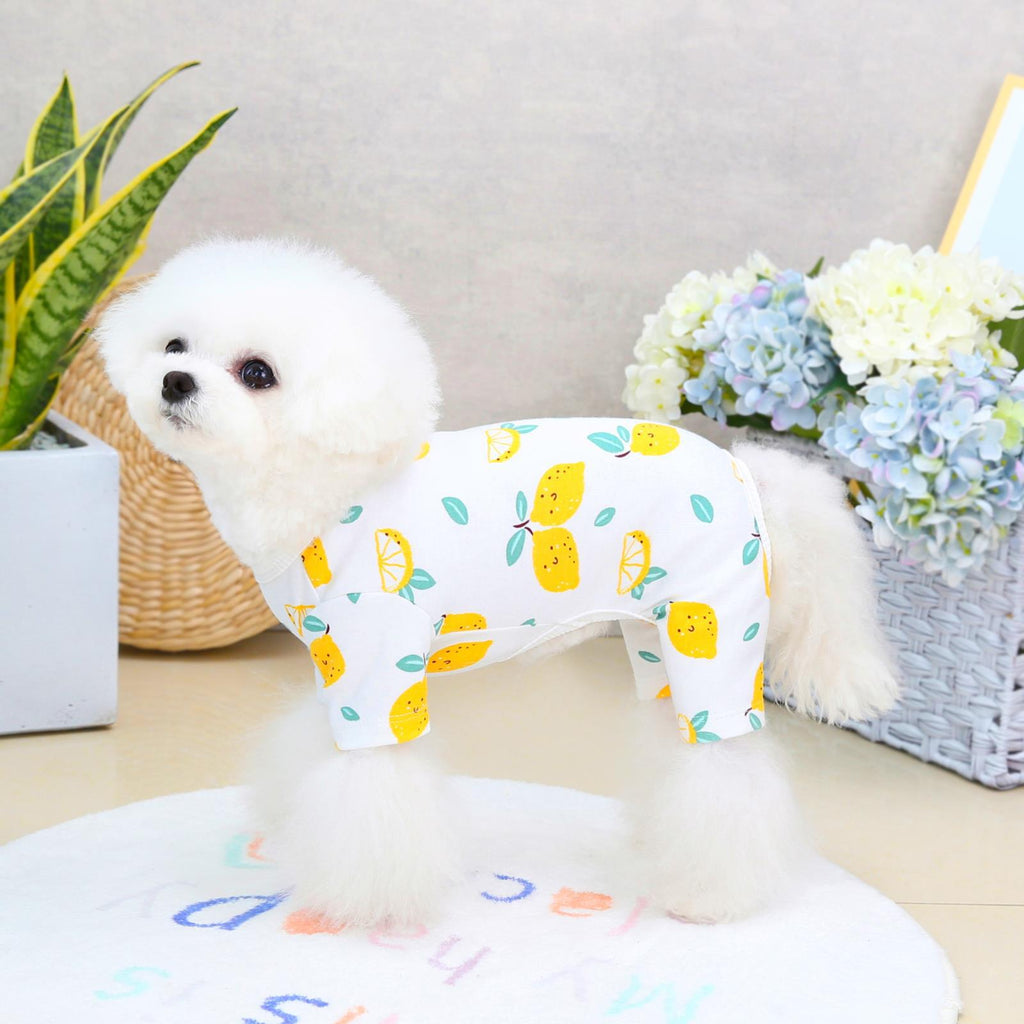 Casual Fashion Clothing for Four-Legged Pets