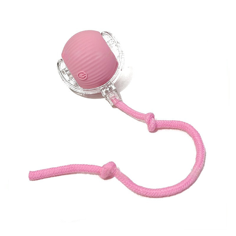 Automatic Rechargeable Cat Interactive Ball Toy