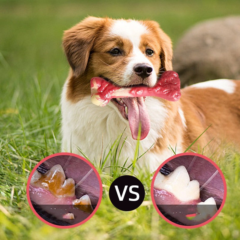 Rubber Bone Dog Chew Toy