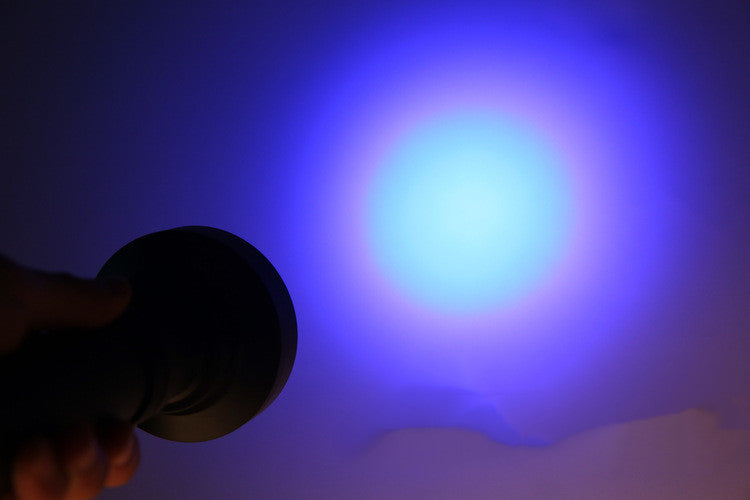 100 LED UV Flashlight for Pet Urine and Scorpion Detection