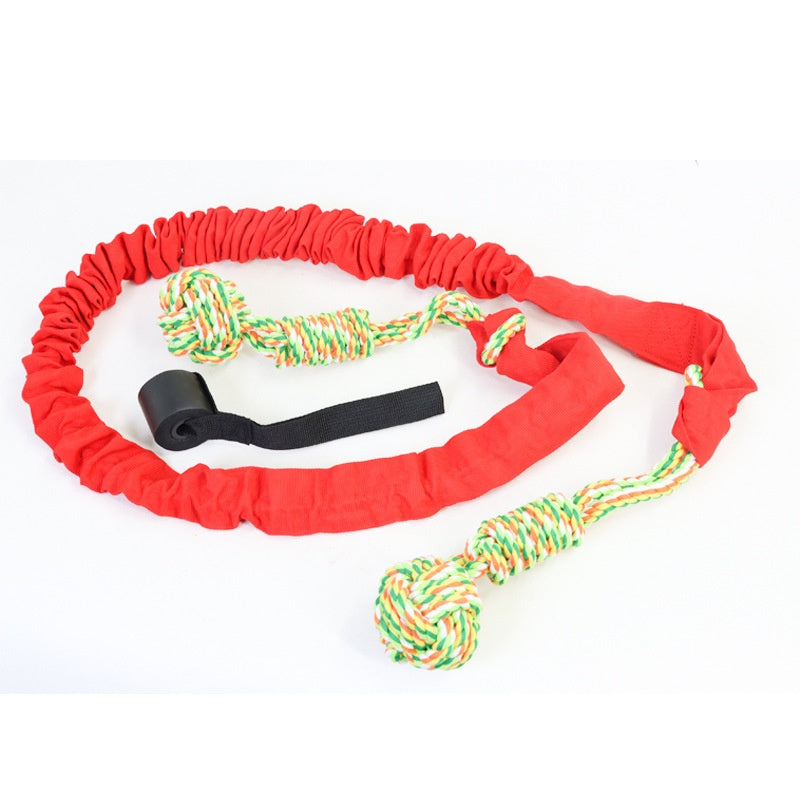 Stainless Steel Pet Spring with Cotton Rope