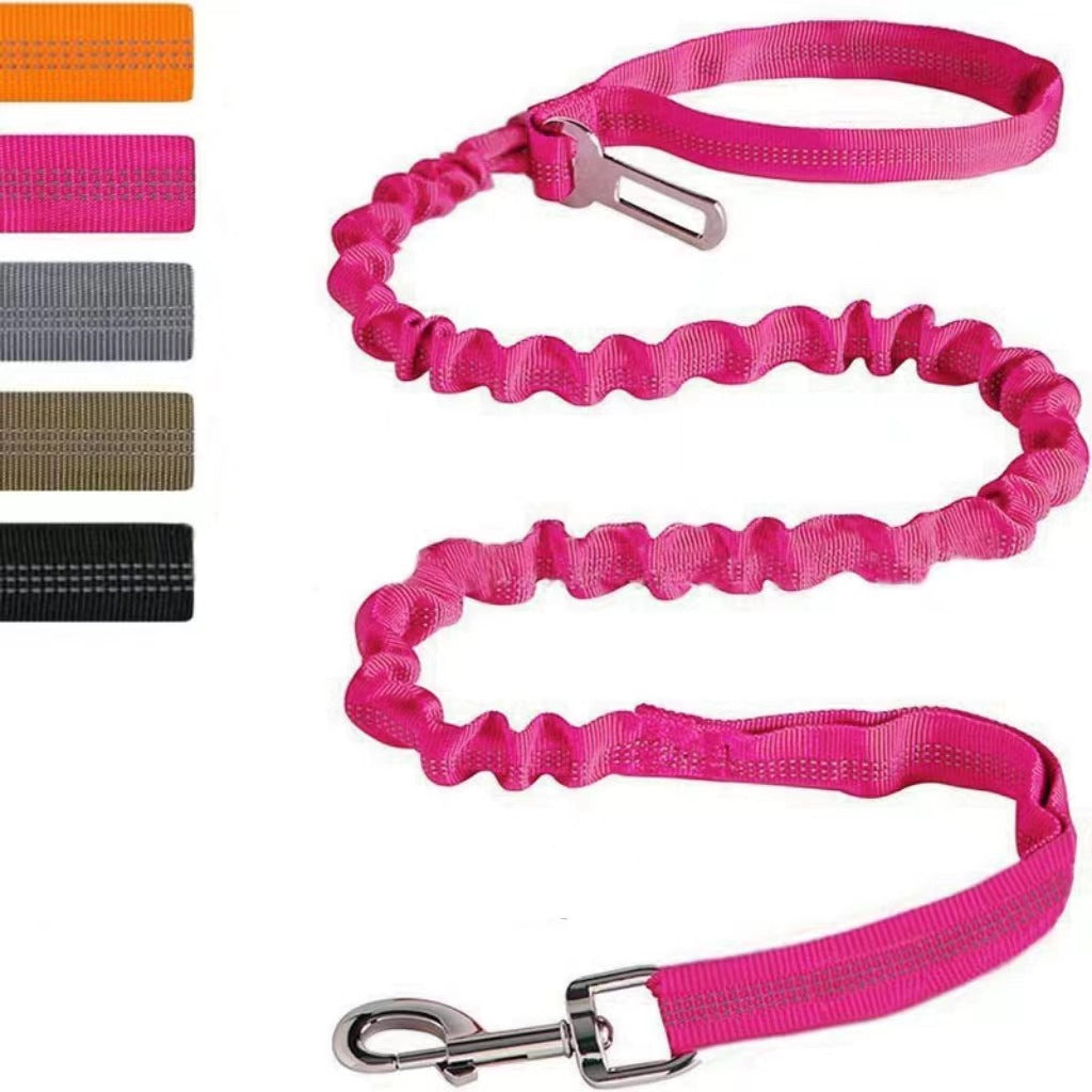 Reflective Polyester Dog Leash
