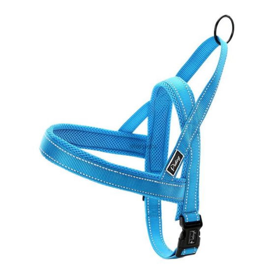 Glow Castle Quick Fit Dog Chest Strap for Easy Wear