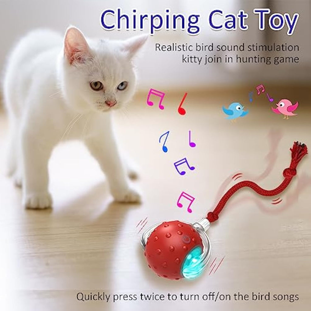 Interactive Motion Cat Toy with Sound - Red