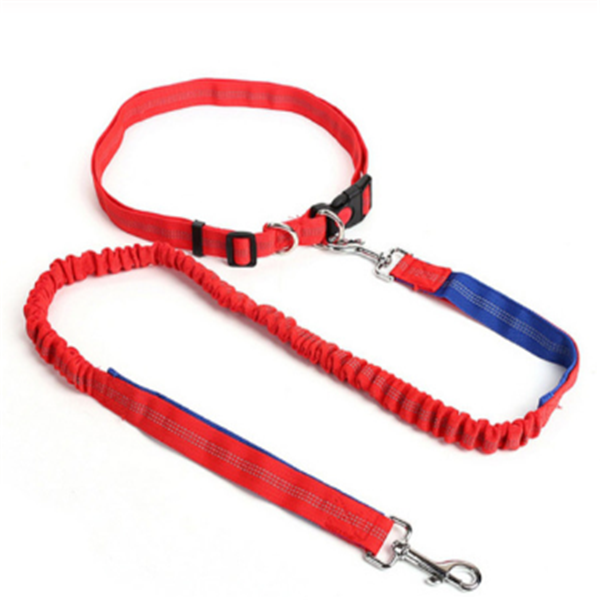 Dog Leash and Tethering Rope for Pets