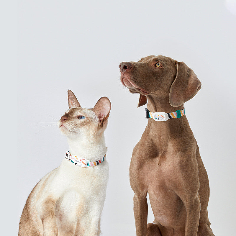 PETKIT Wearable Device for Dog Activity Tracking