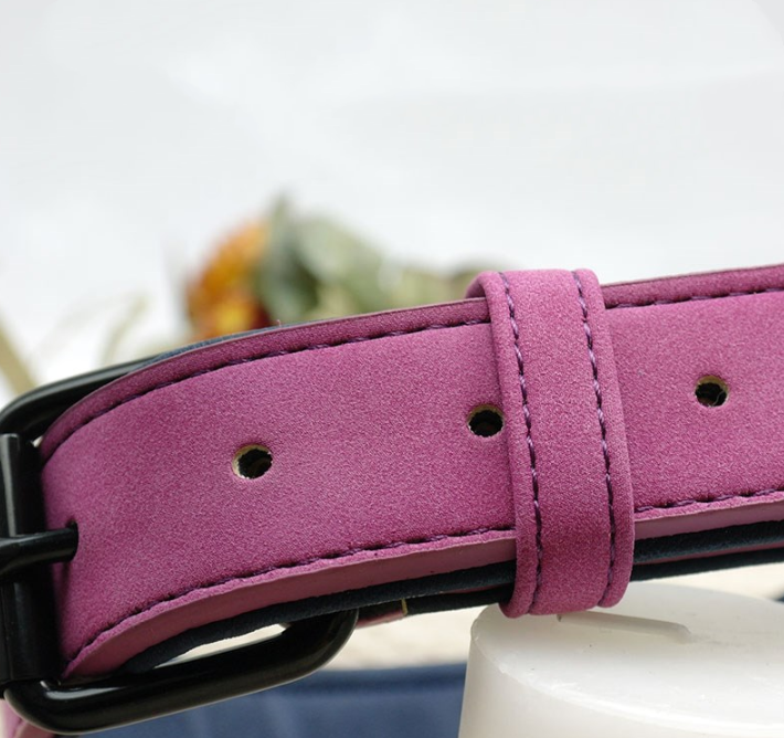 Personalized Engraved Dog Collar with Bell for Pets