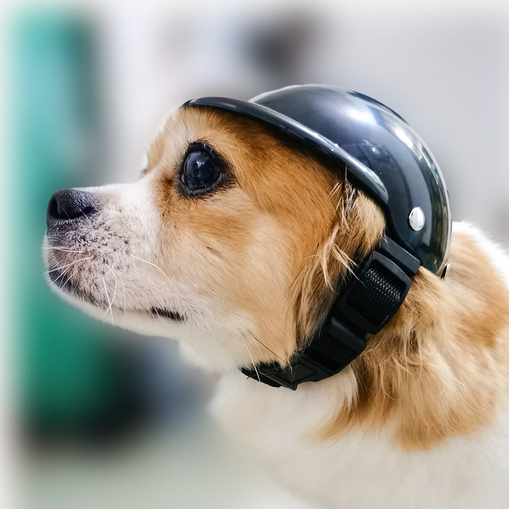 Pet Motorcycle Helmet for Dogs and Cats Accessories