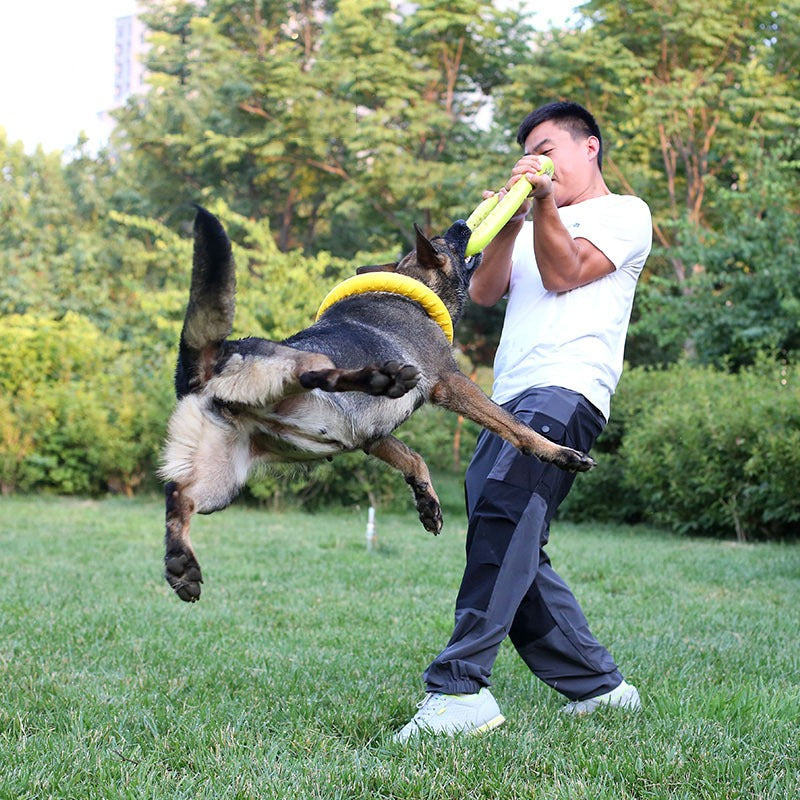 Dog Training Pull Ring Toy
