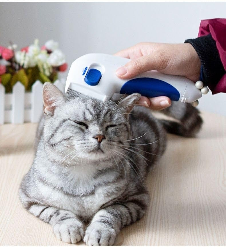 Electric Pet Grooming Comb