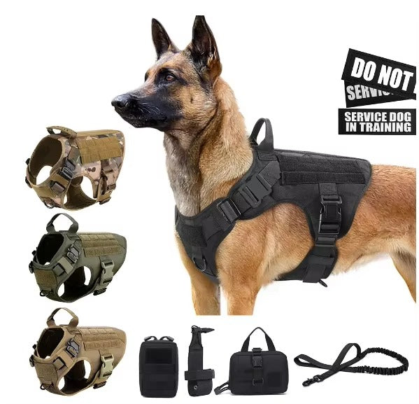 Nylon Camouflage Dog Harness and Leash Set