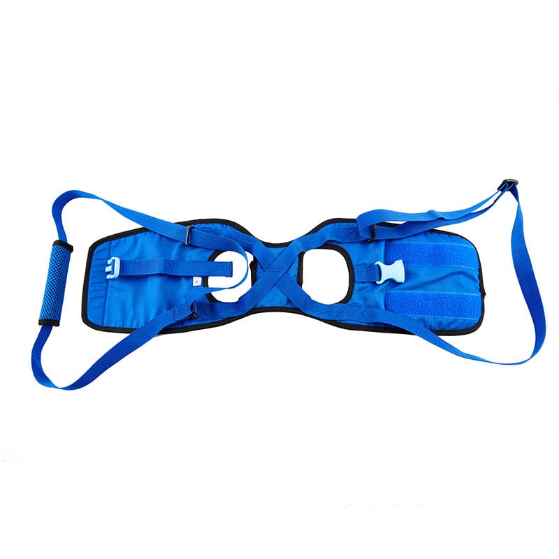 Portable Elastic Walking Assist Harness for Disabled Dogs