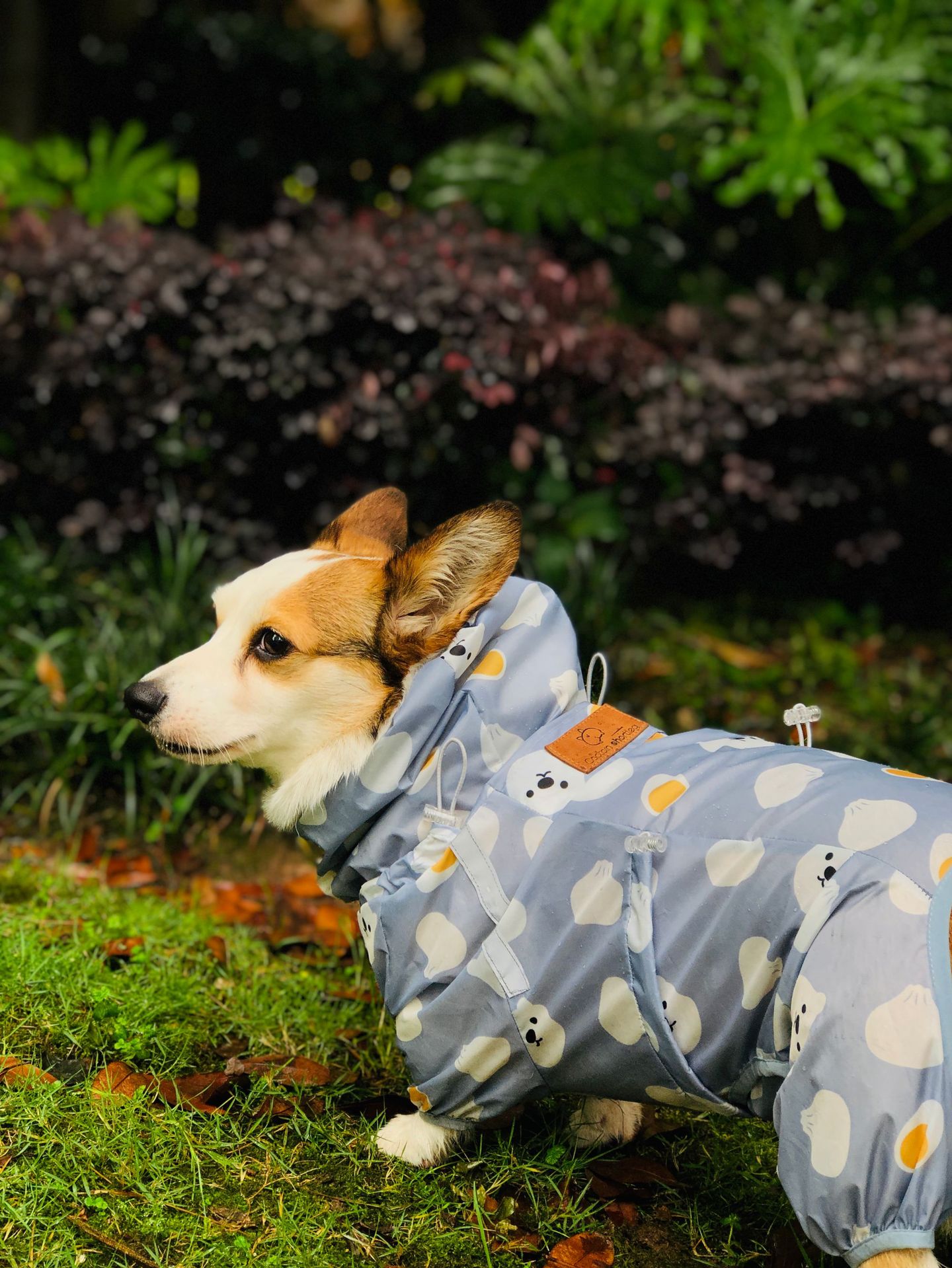 Golden Retriever Corgi Full Wrap Waterproof Coat