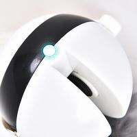 Interactive Electric Cat Toy with Elevating Ball