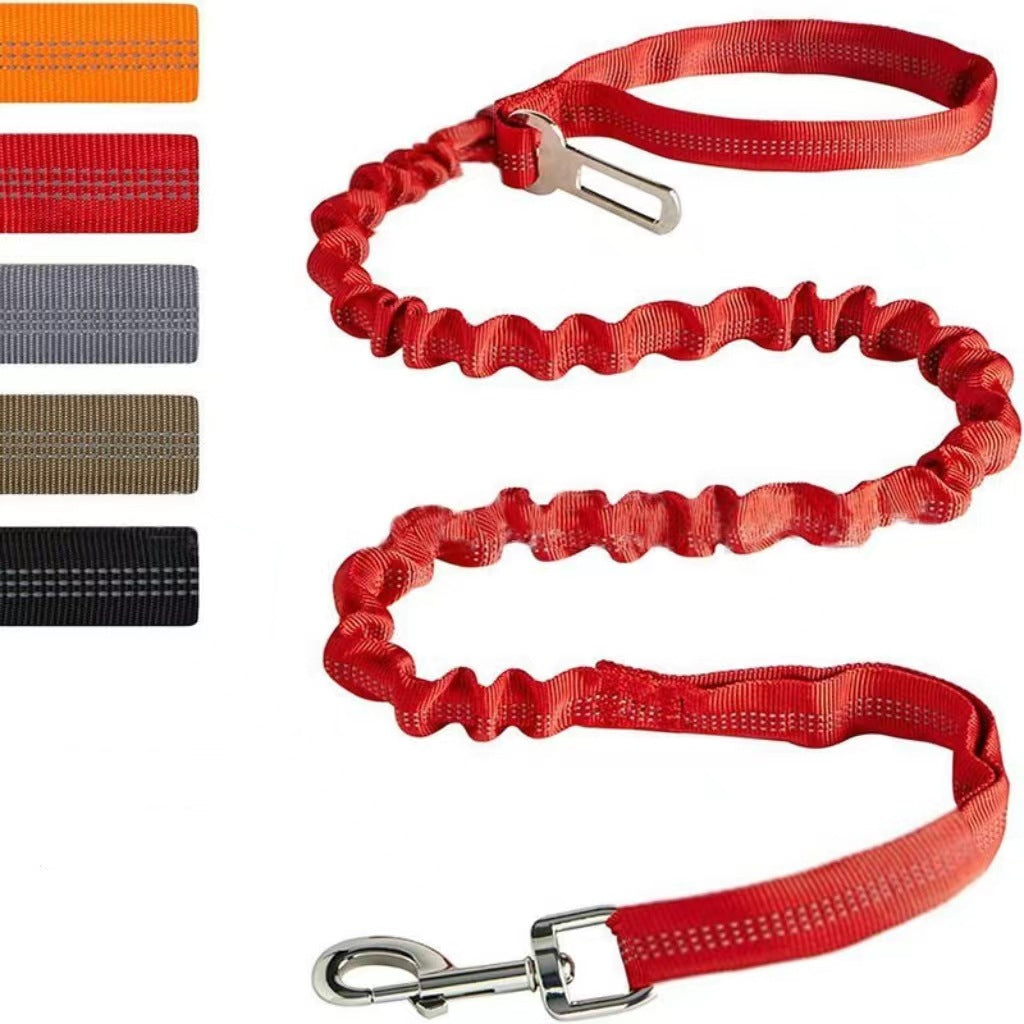 Reflective Polyester Dog Leash