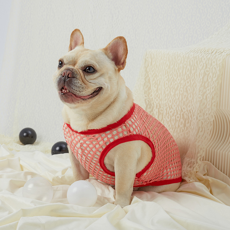 Hollow Mesh Dog Vest for Comfortable Wear