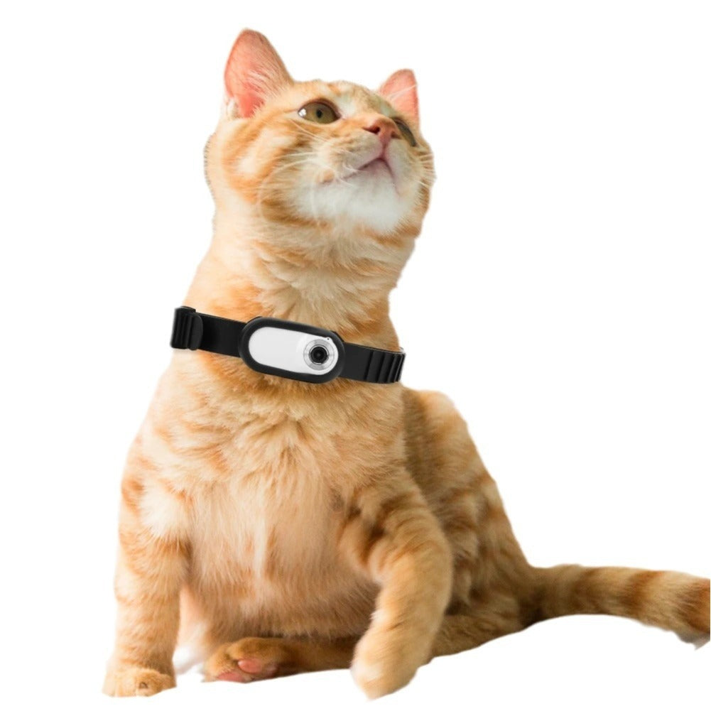 Pet Collar Camera HD