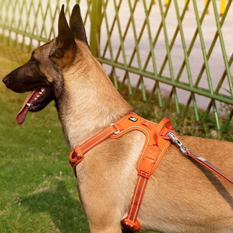Reflective Dog Harness with Leash