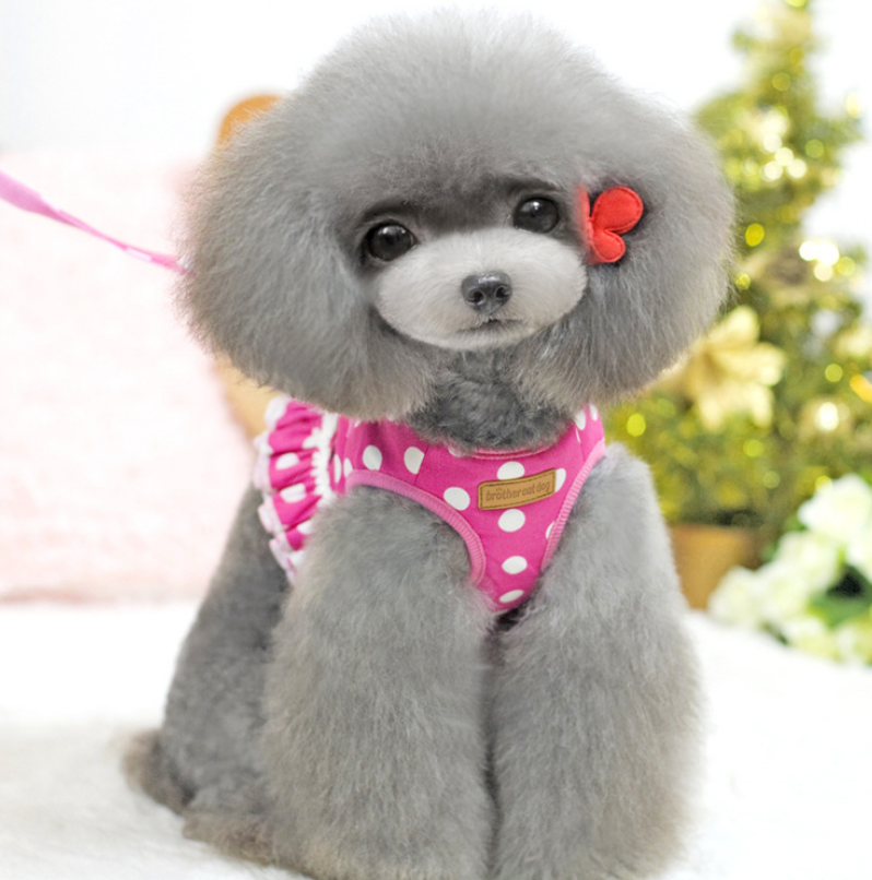 Polka Dot Dog Harness Vest with Leash for Small Pets