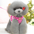 Polka Dot Dog Harness Vest with Leash for Small Pets