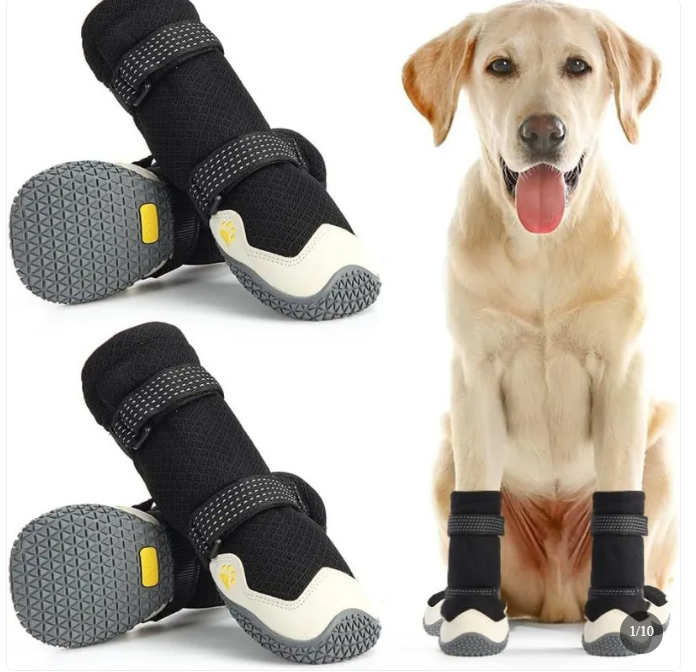 Comfortable Dog Shoes for Medium and Large Dogs