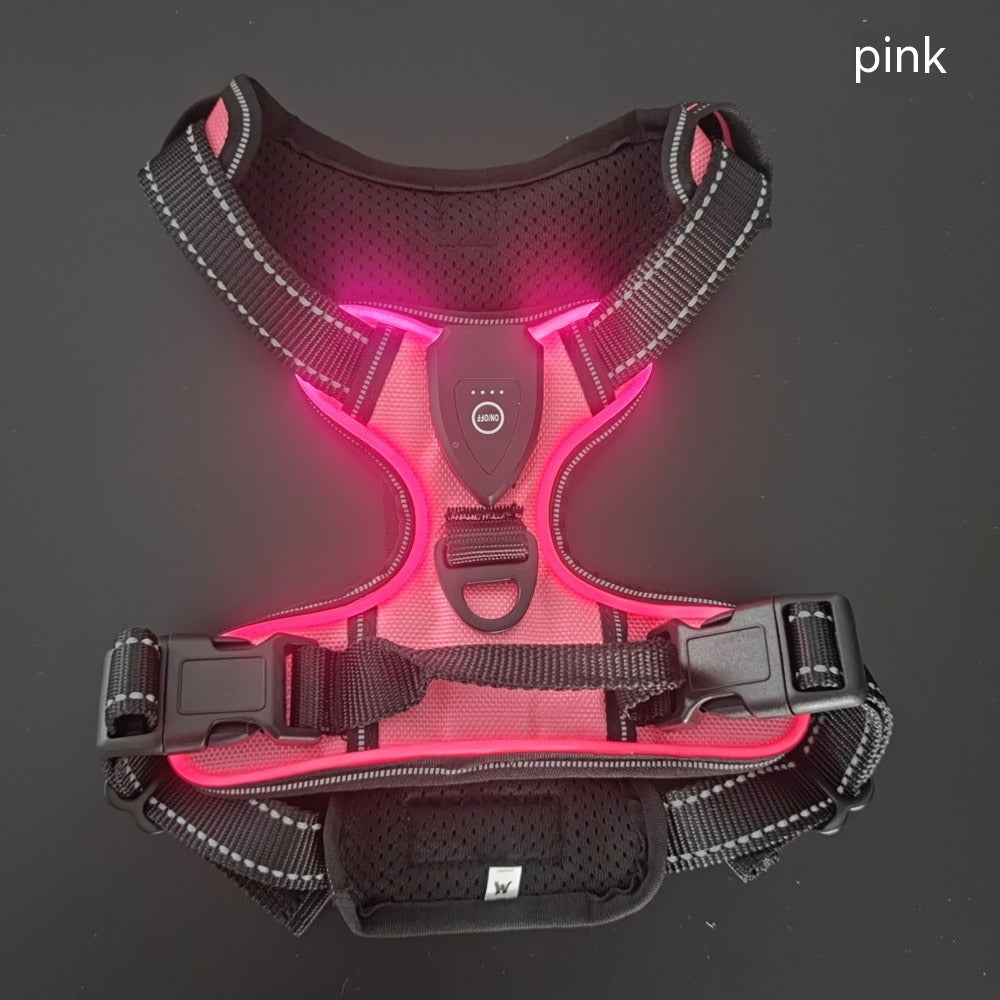 Luminous Dog Vest