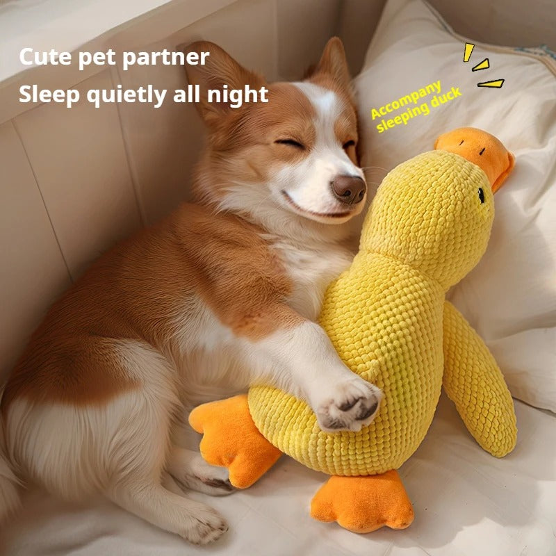 Dog Plush Chew Toy