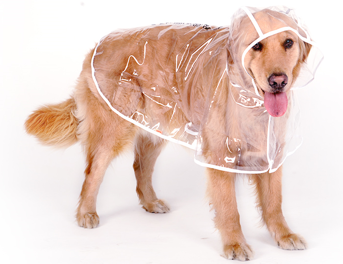 Dog Raincoat for Large and Medium Breeds (Golden, Husky)