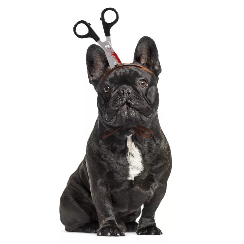 Amazon Halloween Pet Hat for Dogs and Cats Costume