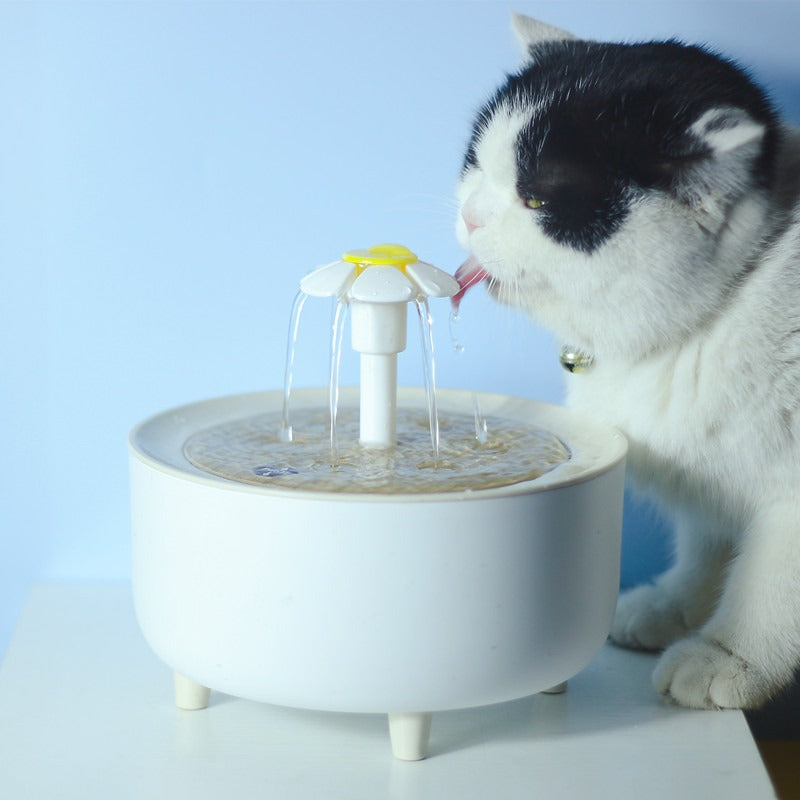 Pet Water Dispenser