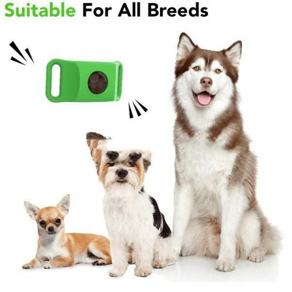 Flea & Tick Collar for Dogs