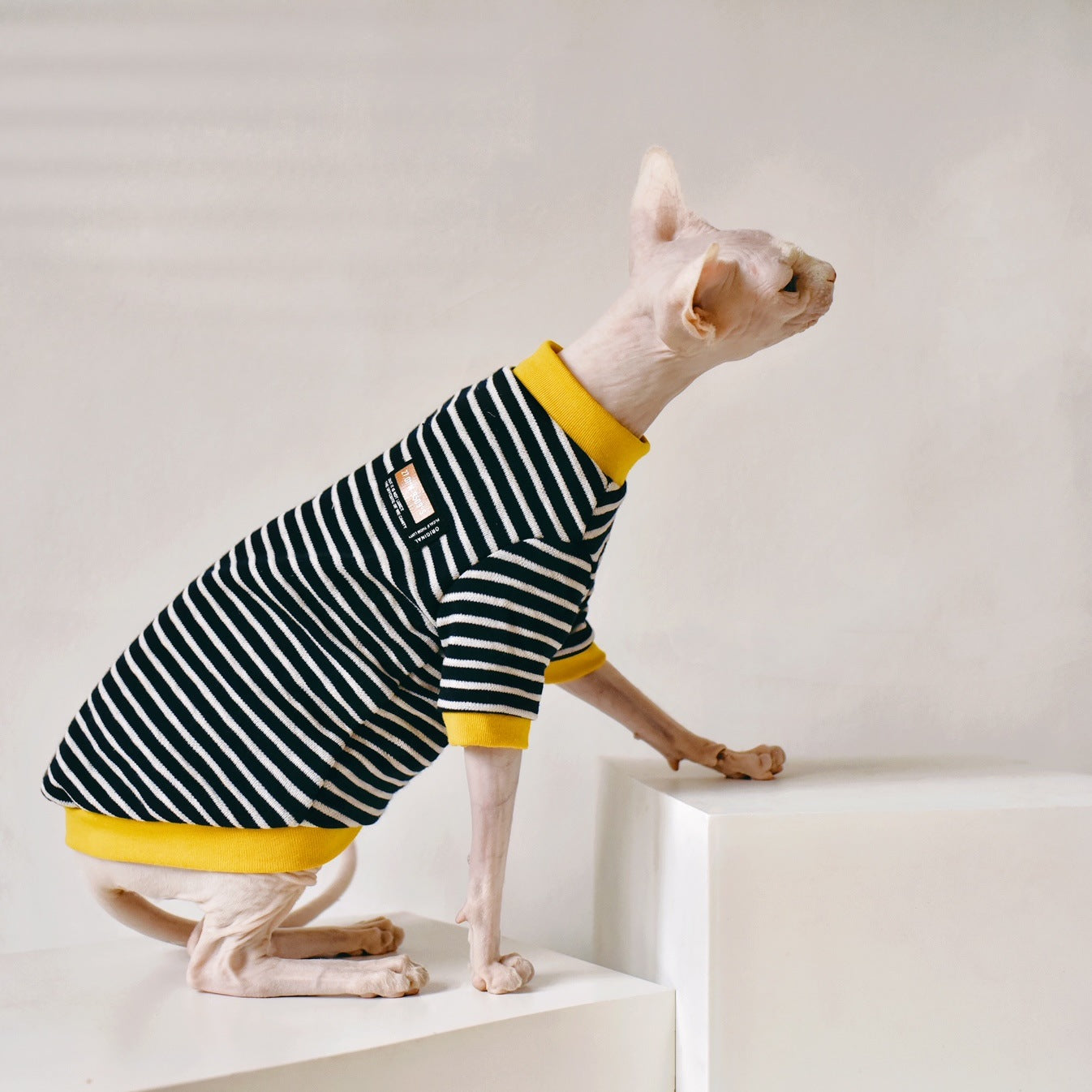 Fabric Clothing for Sphinx Hairless Cats
