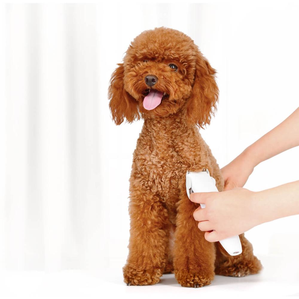 Xiaomi Pawbby Pet Hair Clipper for Dogs and Cats