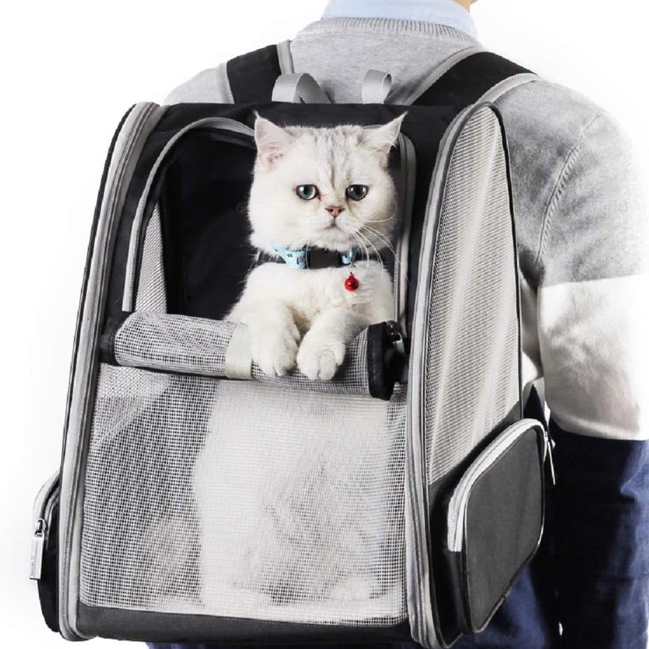 Pet Backpack