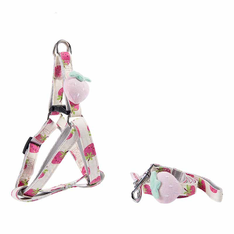 Fruit Series Dog Collars and Leash for Outings