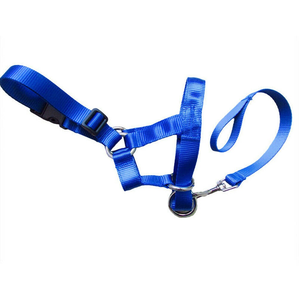 Dog Muzzle & Leash, Nylon