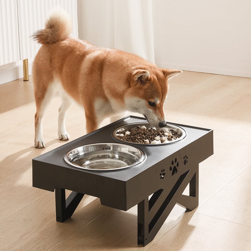 Stainless Steel Double Bowl for Slow Feeding