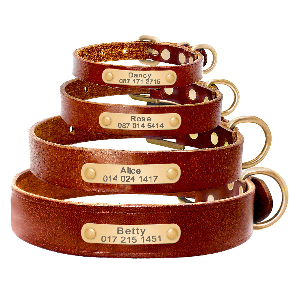Customizable Leather Dog Collar for All Breeds