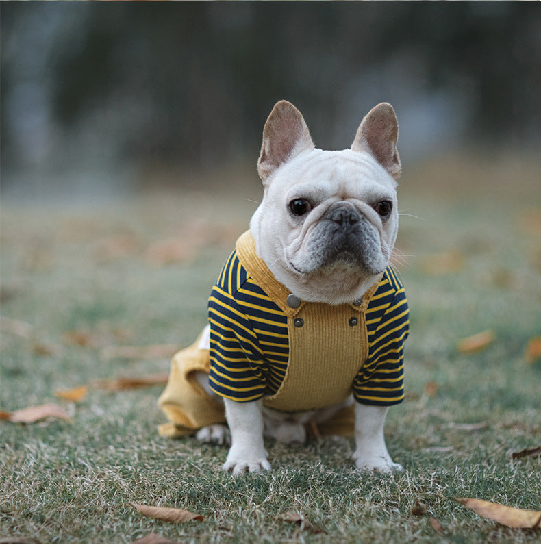 Cotton Stretch Corduroy Shirt for Four-Legged Pets