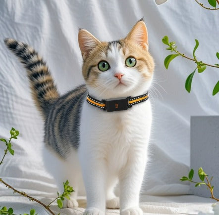 Pet GPS Tracker Collar