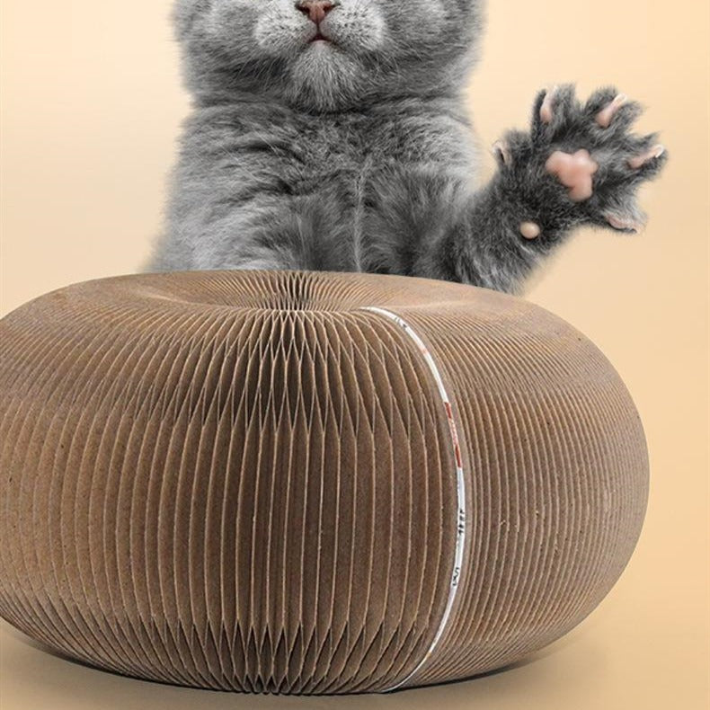 Organ Cat Scratch Board Corrugated Paper