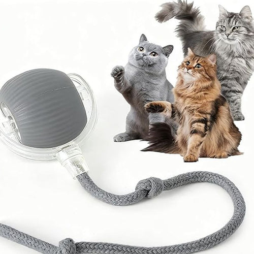 Automatic Interactive Cat Ball Toy with Rechargeable Motion Sensor