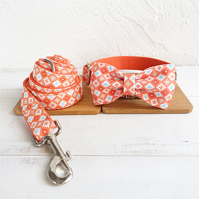 Orange Adventure Matching Collar and Leash Set