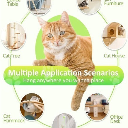 Mouse Electric Toy