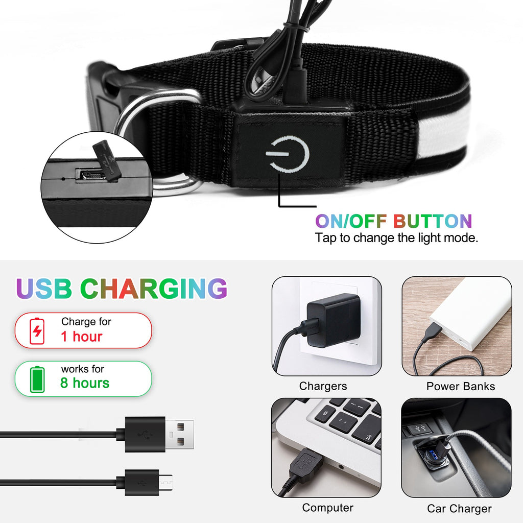 Dog Collar Rechargeable