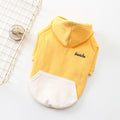 Autumn Fashion Dog Sweatshirt with Simple Letters