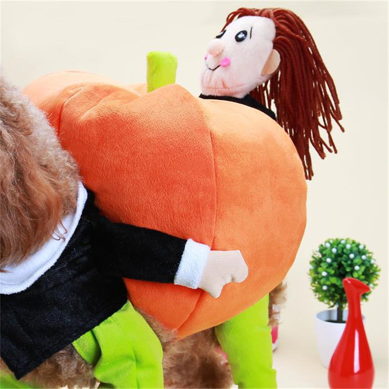 Funny Teddy Poodle Pumpkin Costume for Dogs