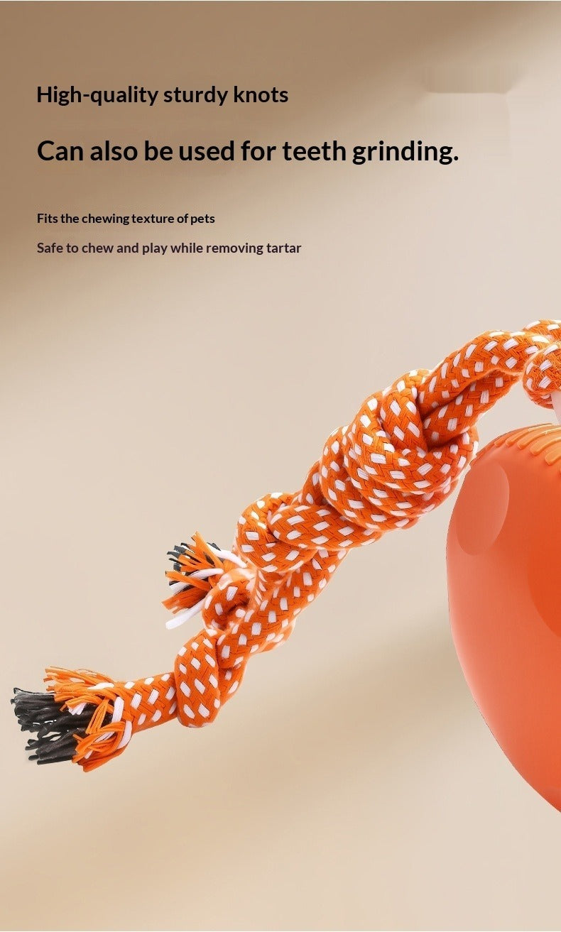Pet Rolling Ball Toy