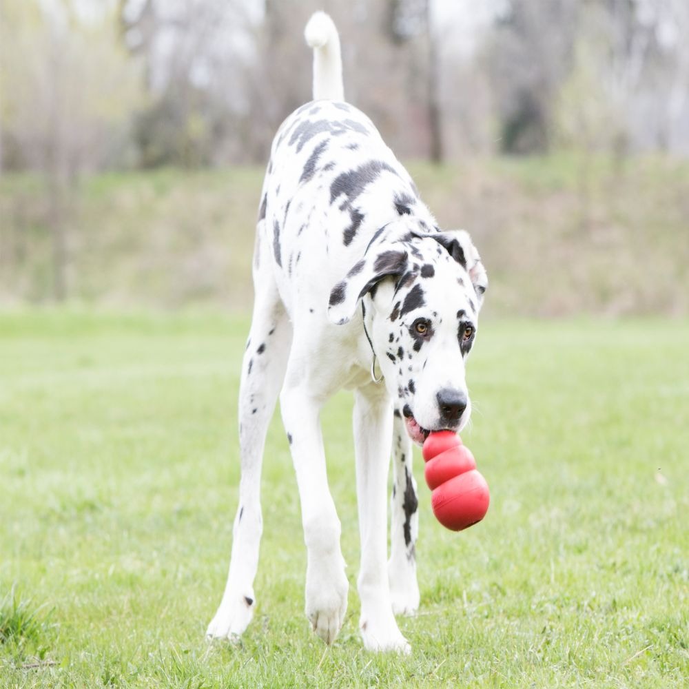 Rubber Gourd Dog Toy - Bite Resistant, Food Leakage